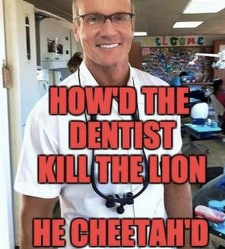 cheetahd-meme