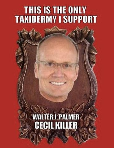 palmer-cecil-meme1
