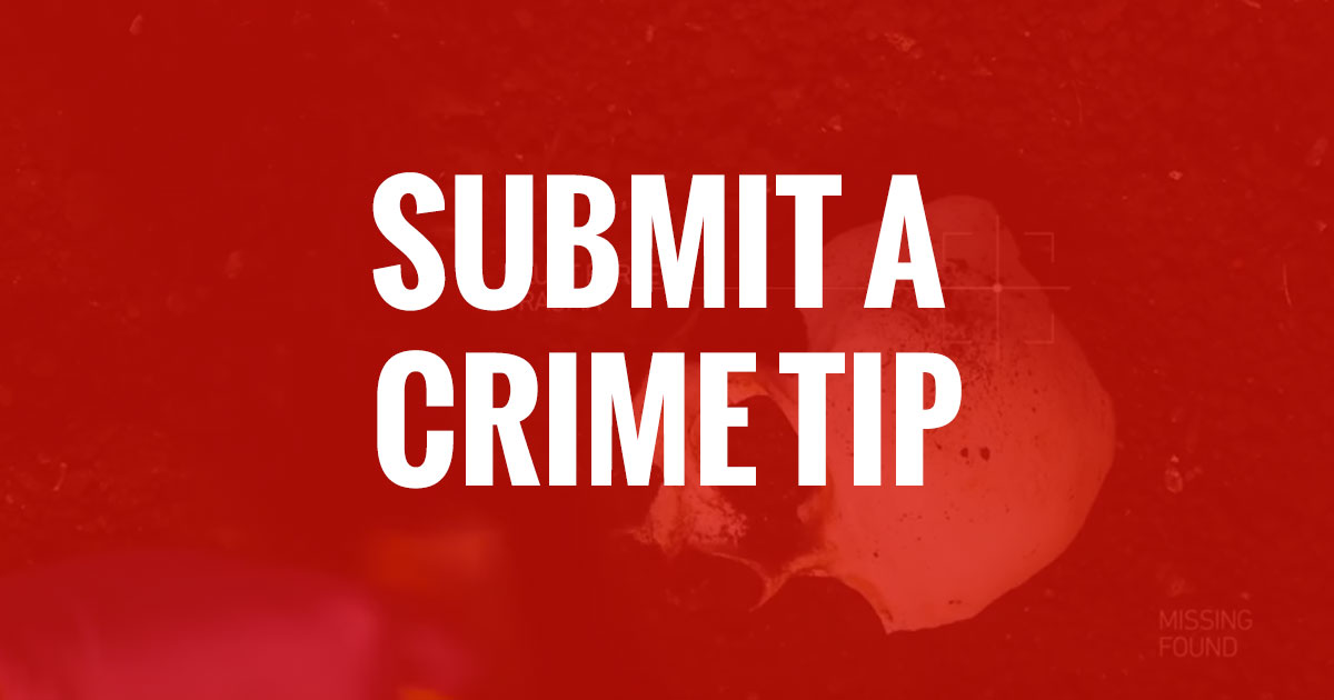 Watch Criminal Activities Online Microsoft