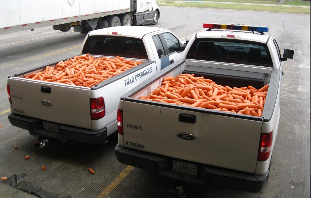 carrots-kswb