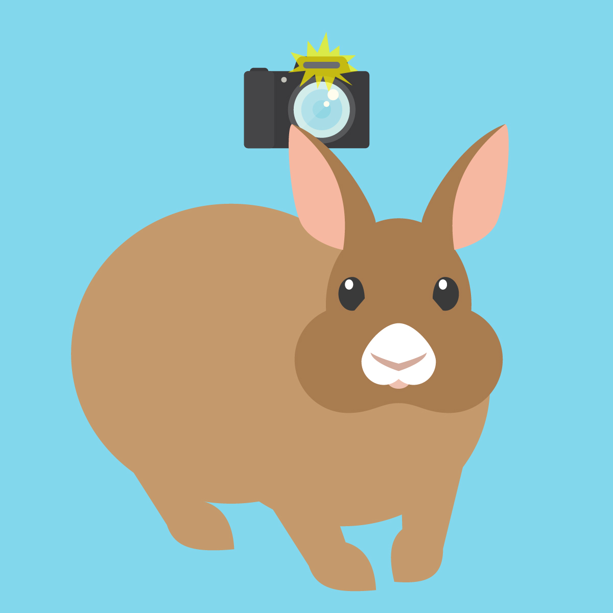 rabbitCamera