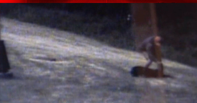 Minnesota deputy keeps job after video shows him beating K9 partner