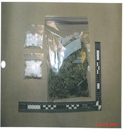 Parents busted after framing PTA president with drugs in car