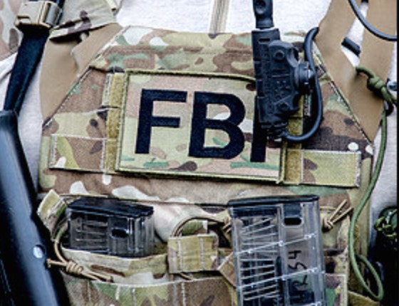 Former FBI agent admits stealing $136,000 for sports cars, cosmetic surgery