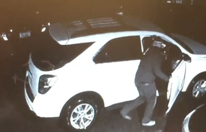 Video: Pizza delivery driver dragged by fleeing thief